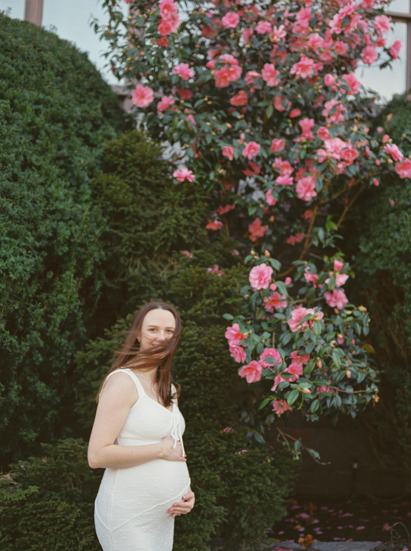 A maternity portrait of a mother holding her pregnant belly while surrounded by pink flowers and greenery at Government House in Victoria BC. The photo is created with 35mm film photography.