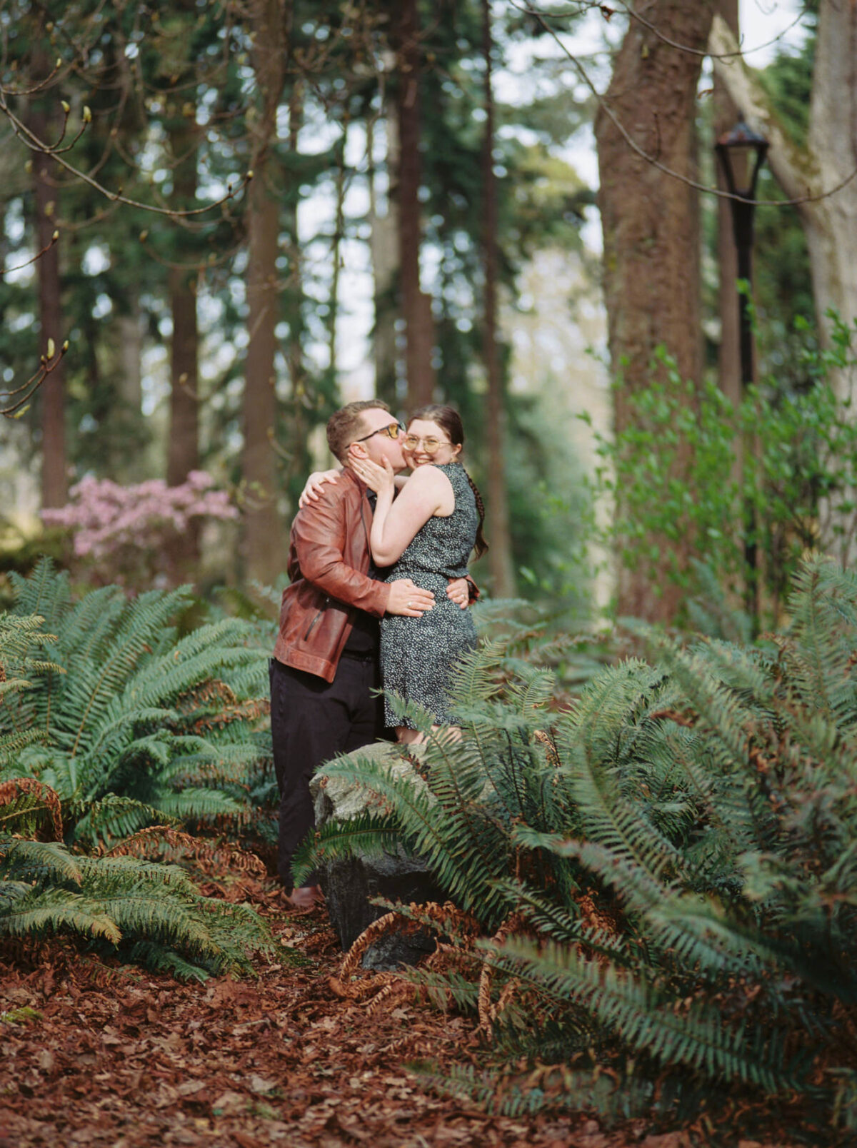 An engagement portrait of a couple cuddling among the fern and old cedar trees at Beacon Hill Park in Victoria BC. This photo was taken with Kodak Portra 400 film using a 645 medium format camera. 
