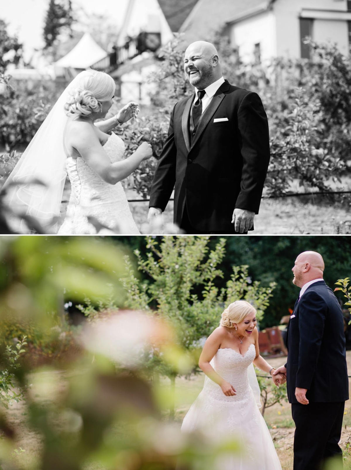 Diane & Jim's beautiful apple orchard wedding at Sea Cidery in Victoria BC. Photographed by FunkyTown Photography