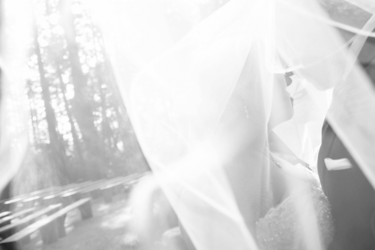 Diane & Jim's beautiful apple orchard wedding at Sea Cidery in Victoria BC. Photographed by FunkyTown Photography