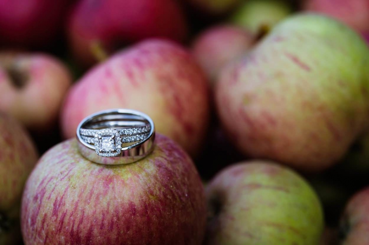 Diane & Jim's beautiful apple orchard wedding at Sea Cidery in Victoria BC. Photographed by FunkyTown Photography