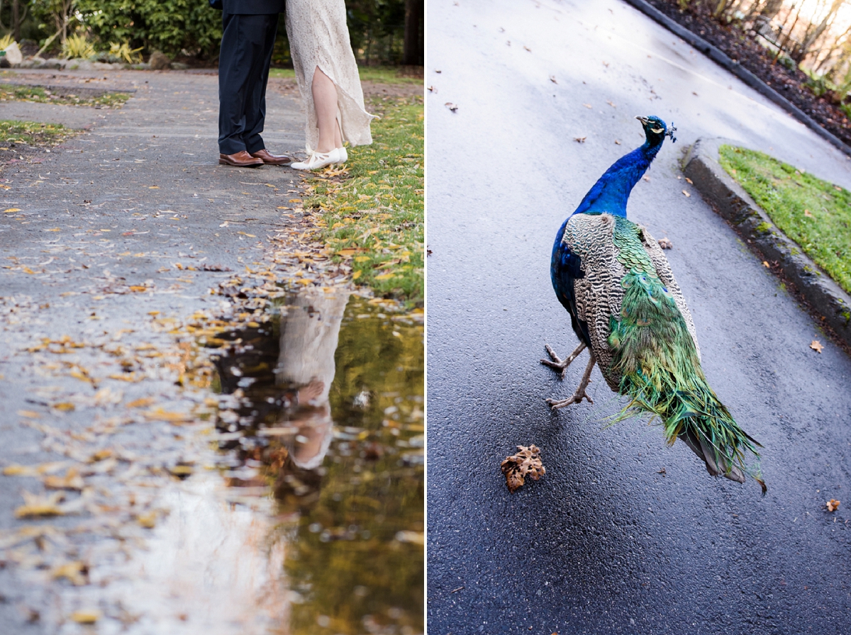 Beacon Hill Park Pop-up Wedding Elopement in Victoria in November