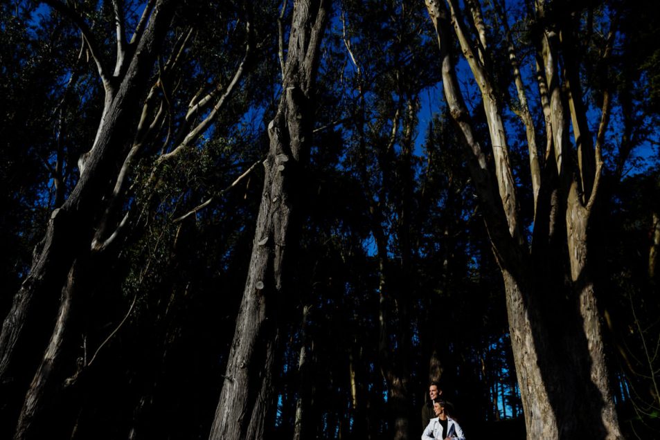 Presidio Engagement Portraits