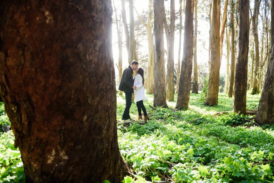 Presidio Engagement Portraits