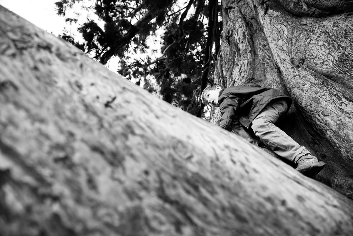 Family candid lifestyle portraits Beacon Hill Park Victoria BC - Photography by FunkyTown Victoria