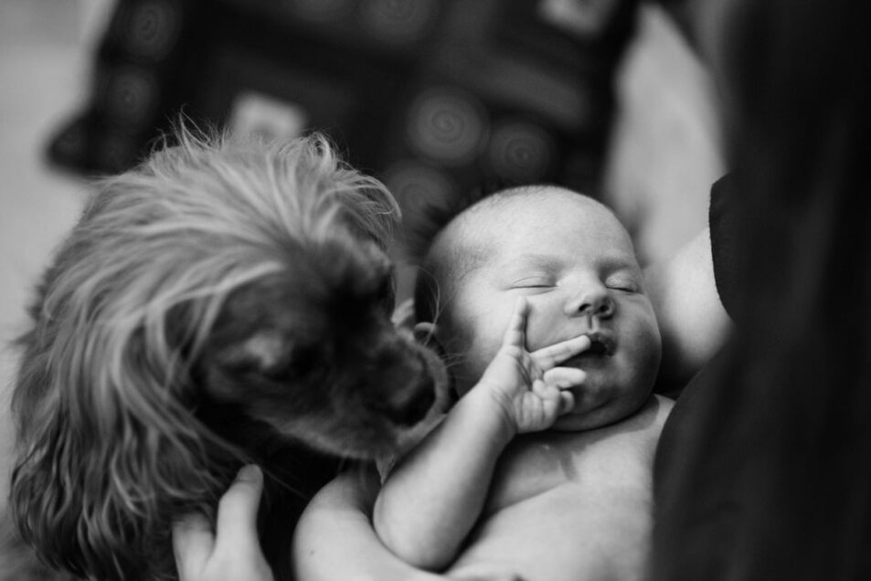 Documentary family portraits Victoria BC