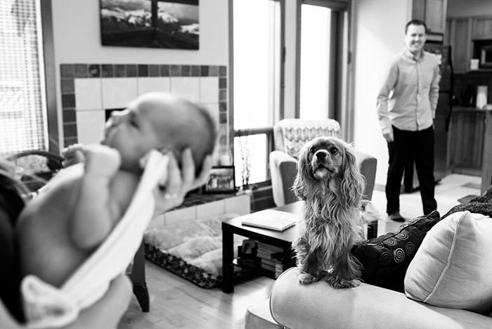 Documentary family newborn portrait photographer Victoria BC at home