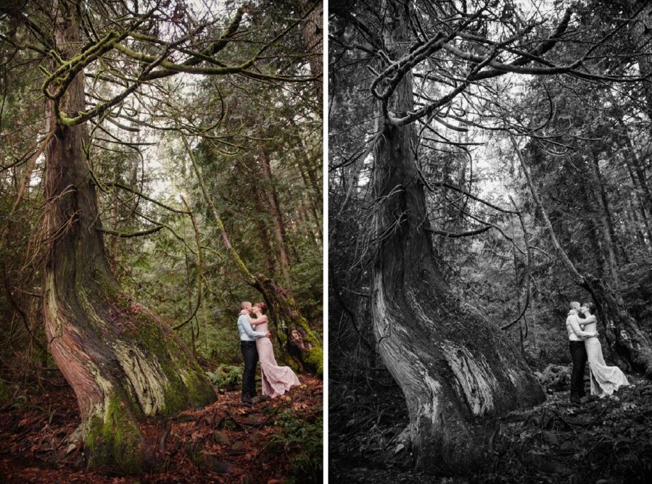 A magical forest wedding elopement at East Sooke Park near VIctoria BC