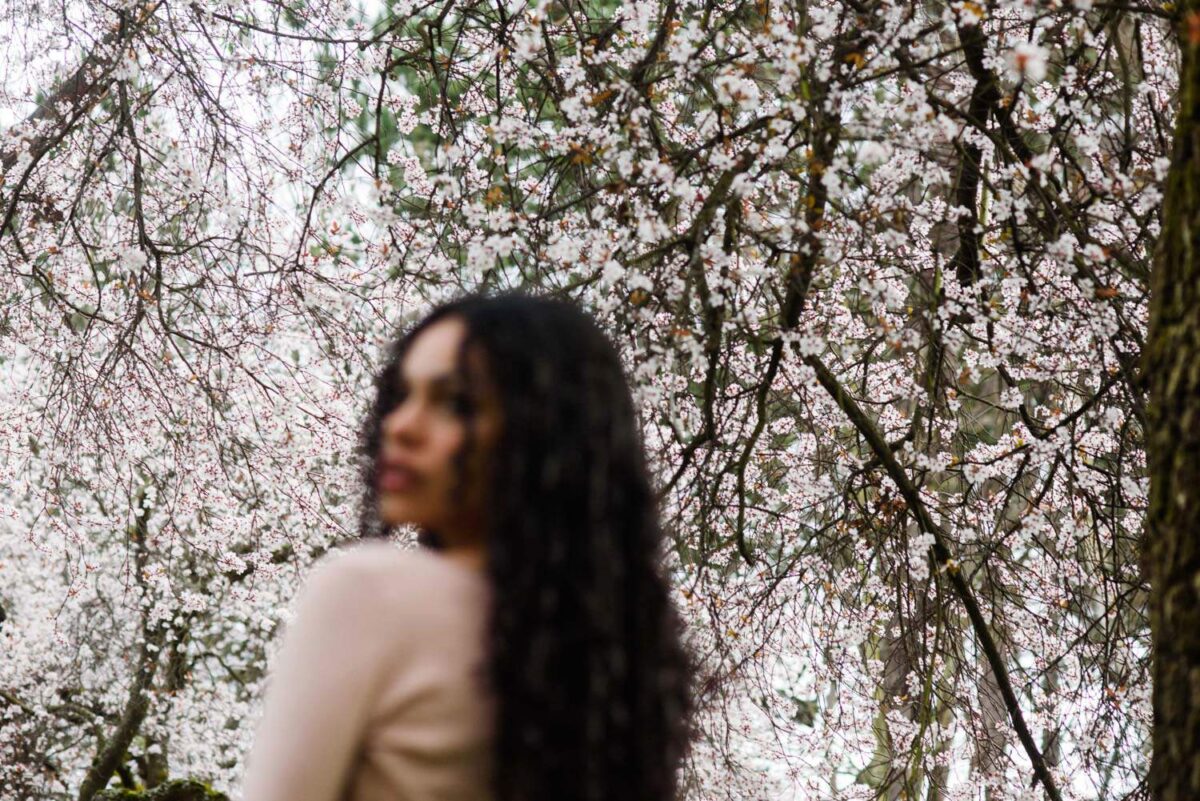 Cherry blossoms in Victoria BC