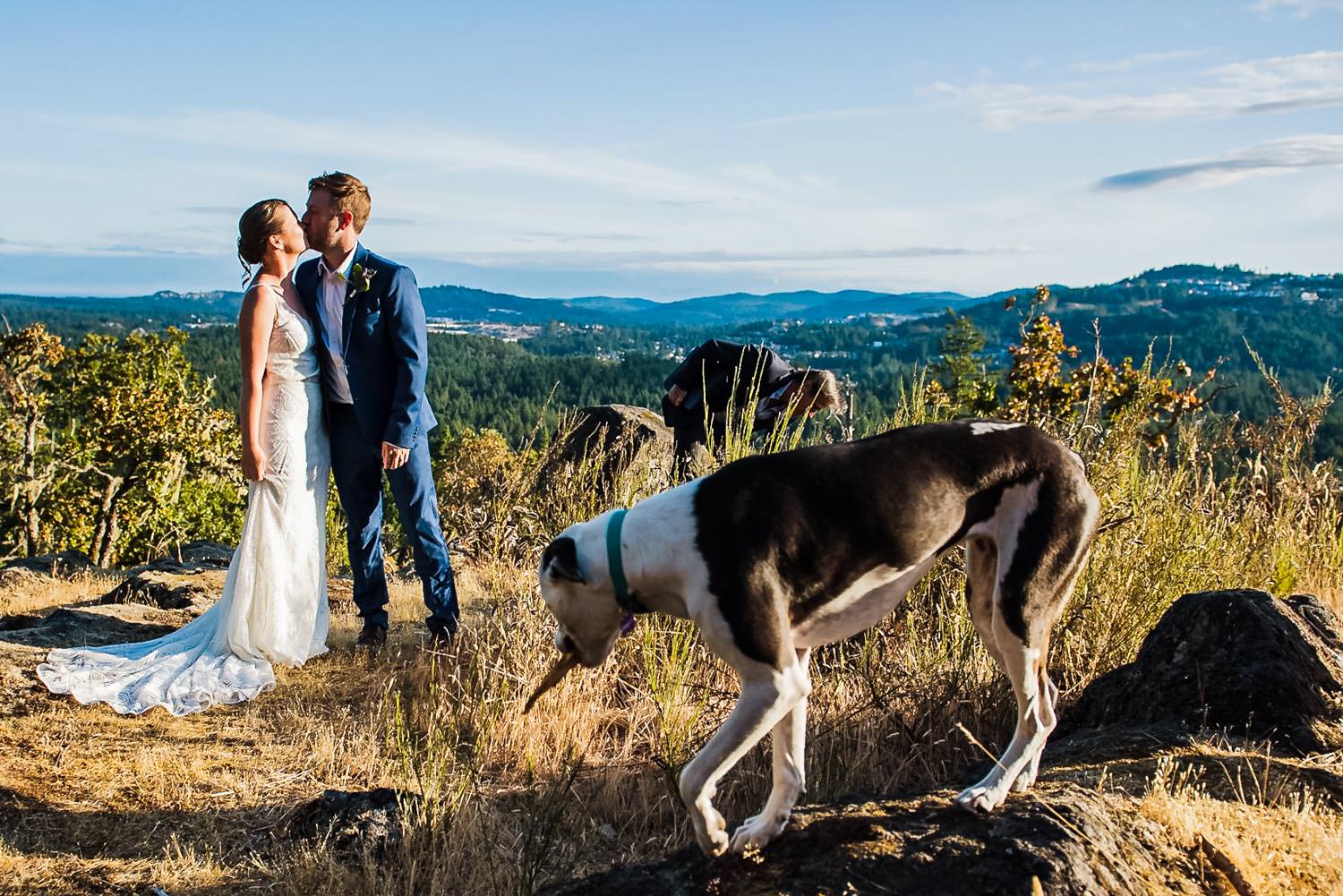 A Victoria BC pop-up wedding with a dog.