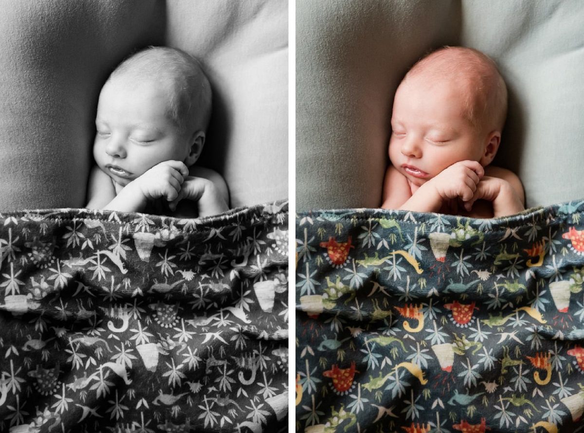 Newborn portraits in Victoria BC
