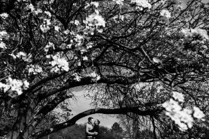 LGBTQ2S+ engagement portraits Victoria BC during cherry blossom season