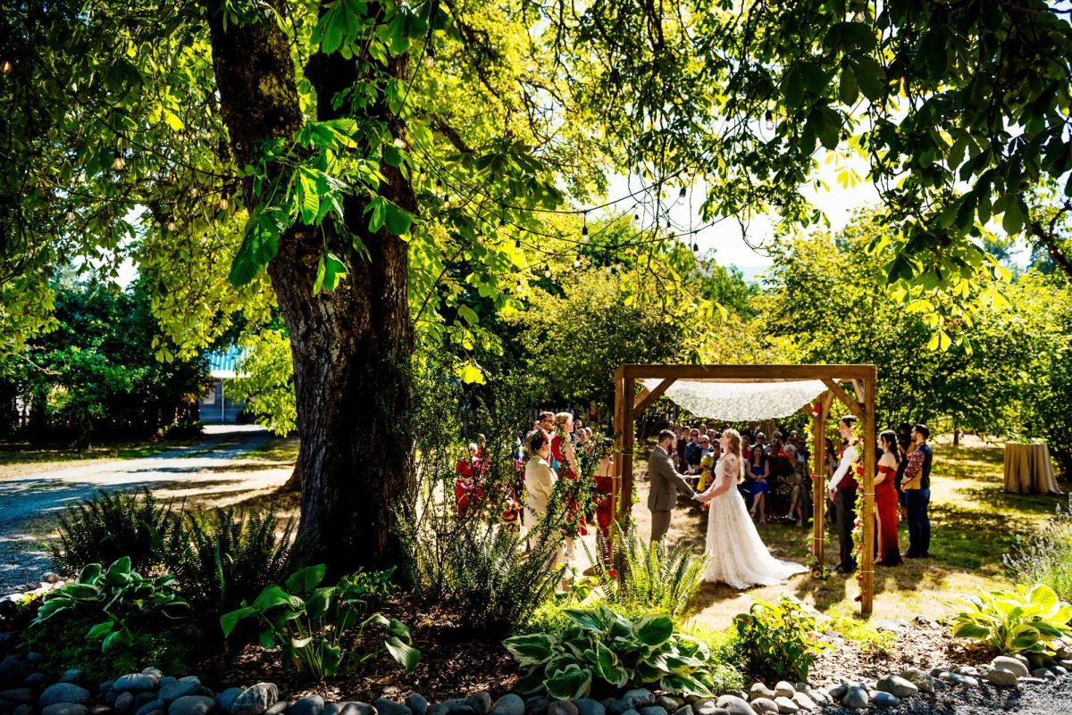 Backlit wedding photo at Keating Farm in Duncan BC