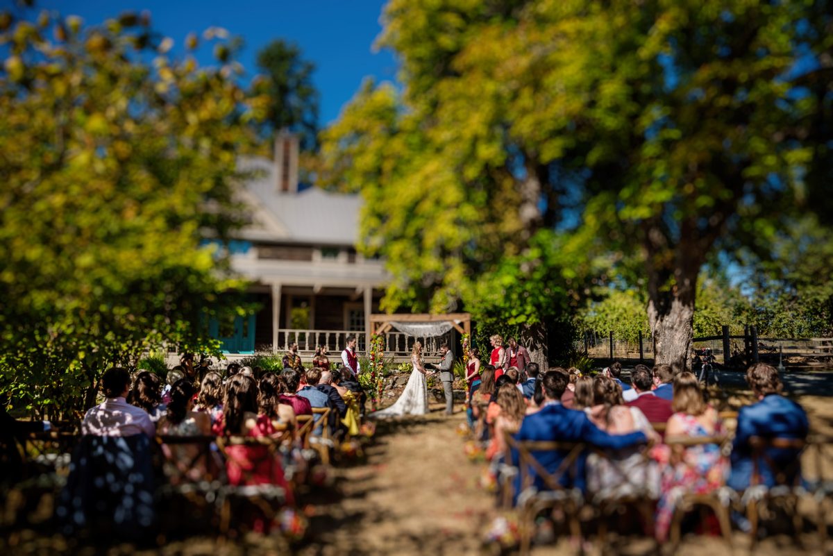 Tilt shift wedding photo