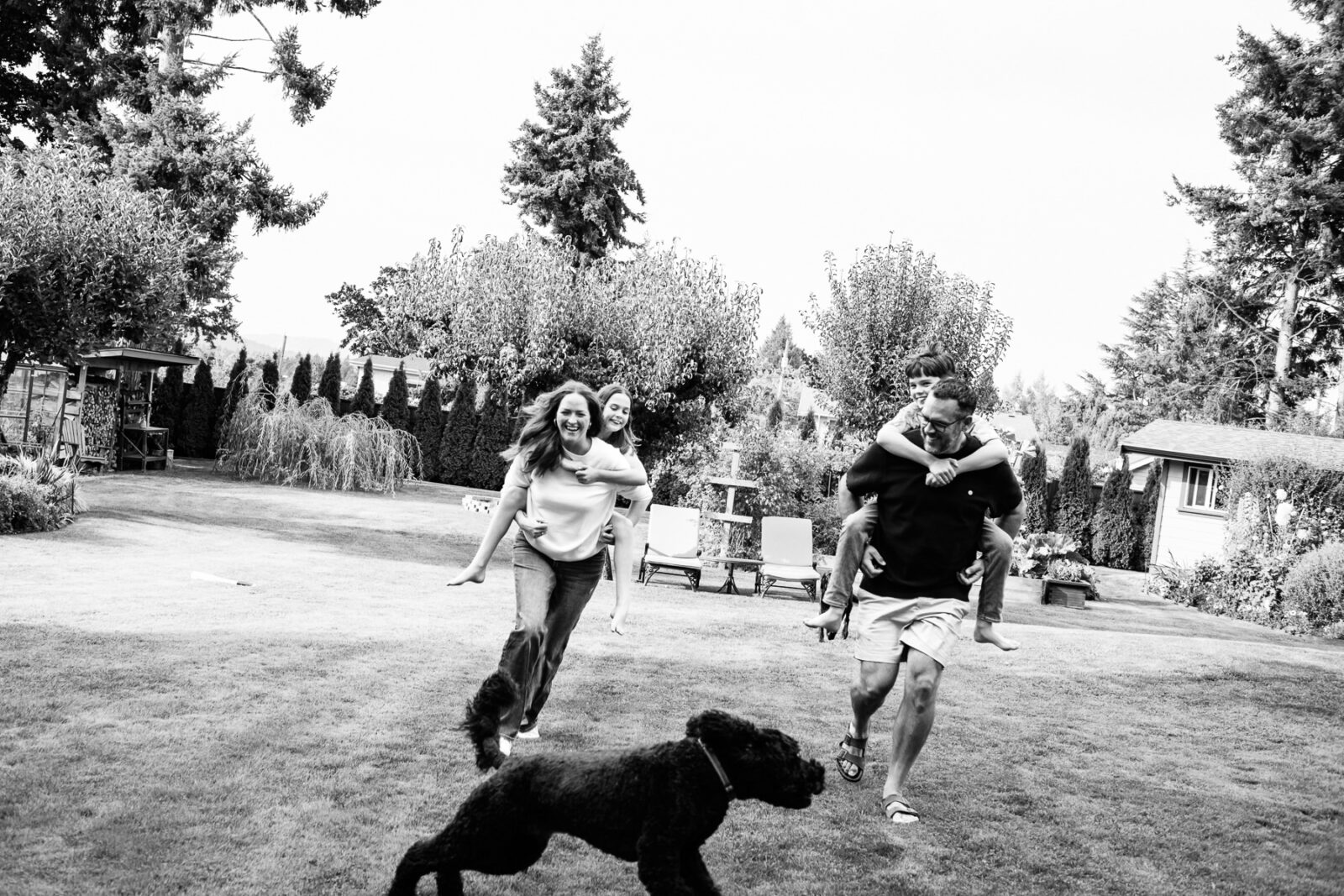 A black and white family photo action shot of a family playing piggy back as their dog runs by them.