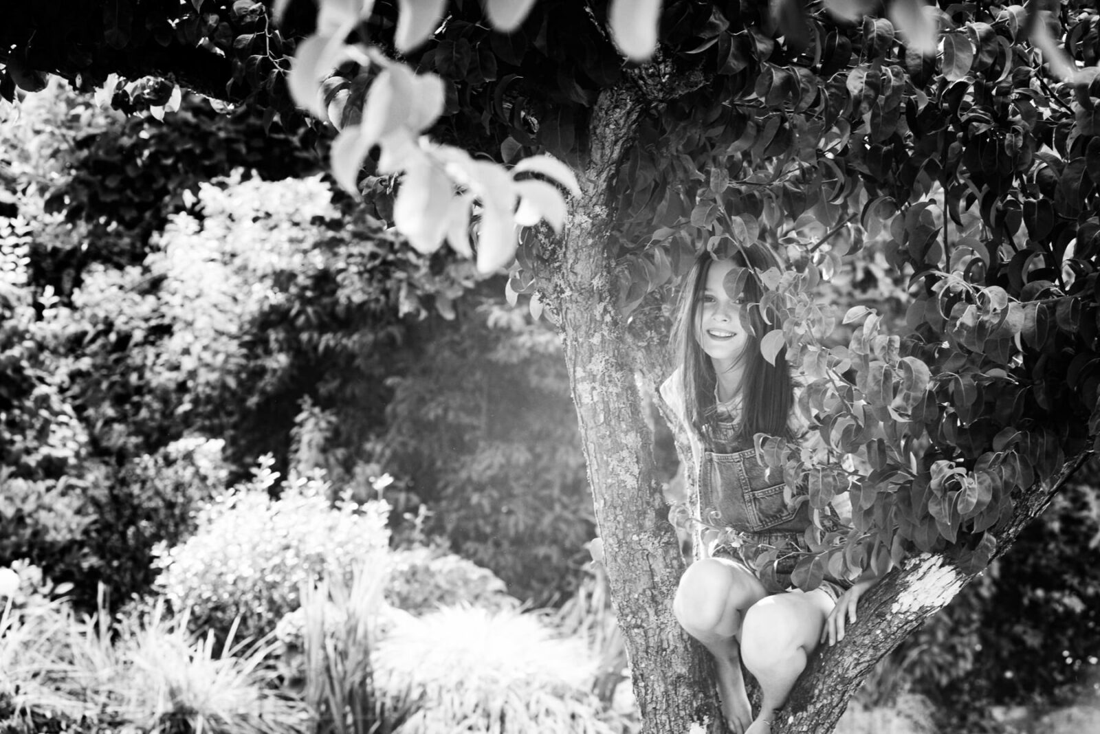 A candid moment of a girl in a tree surrounded by her garden.
