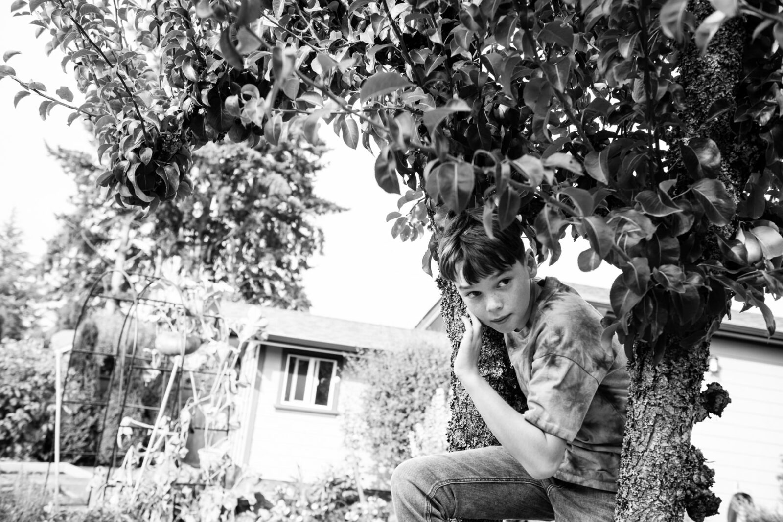 A black and white photograph of a boy in a tree on his property.