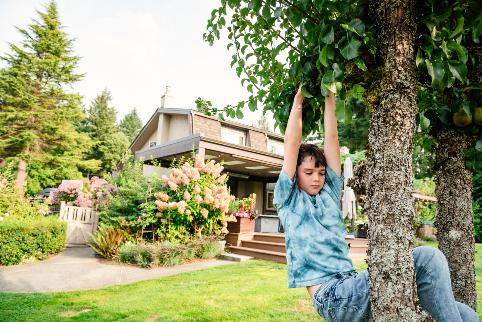 A boy hangs from a tree in his yard with his family home in the background.