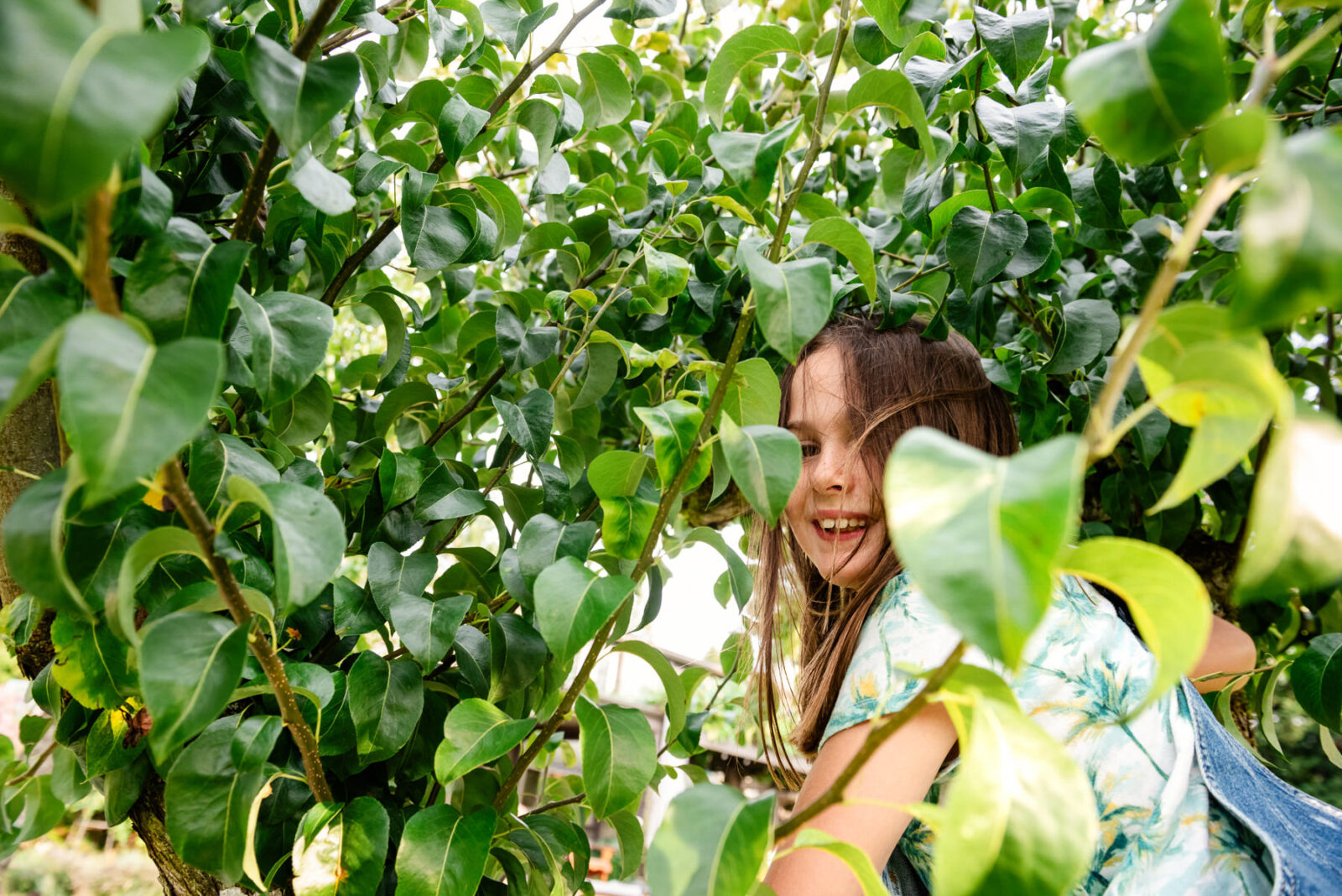 A girl with messy hair climbing a tree with a smile on her face. The photo is in colour and it's a candid portrait.
