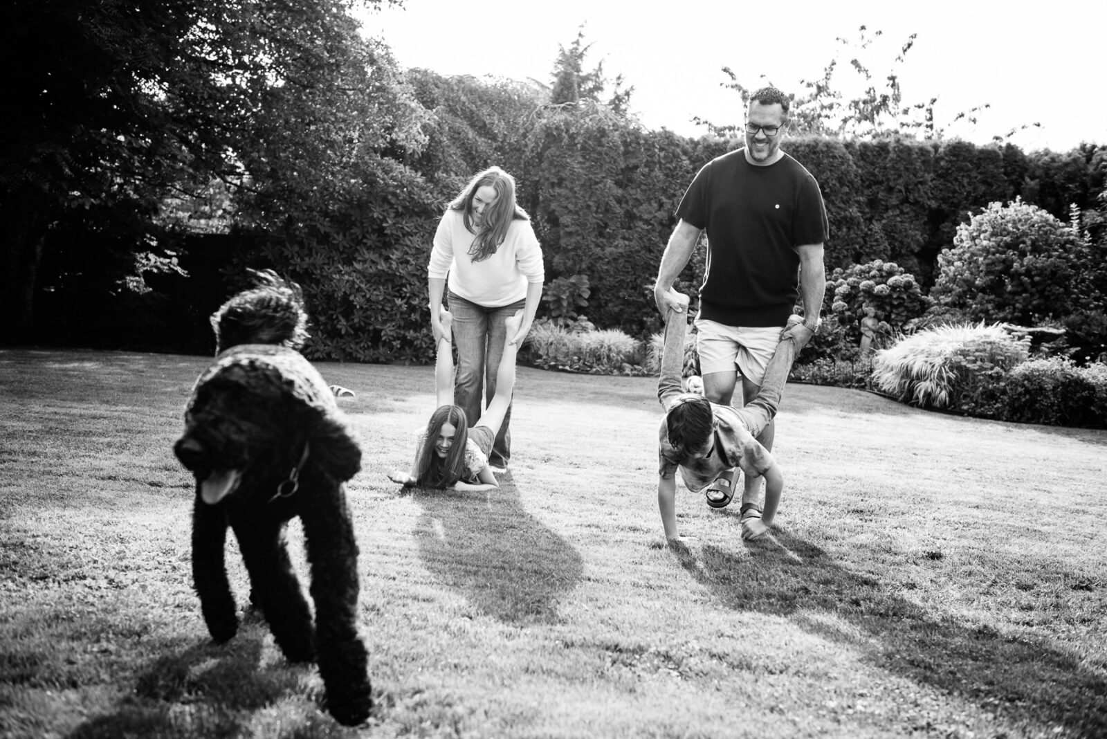 Family playing wheelbarrow game on their lawn Two kids are laughing as they fall to the ground and a dog runs by the camera.