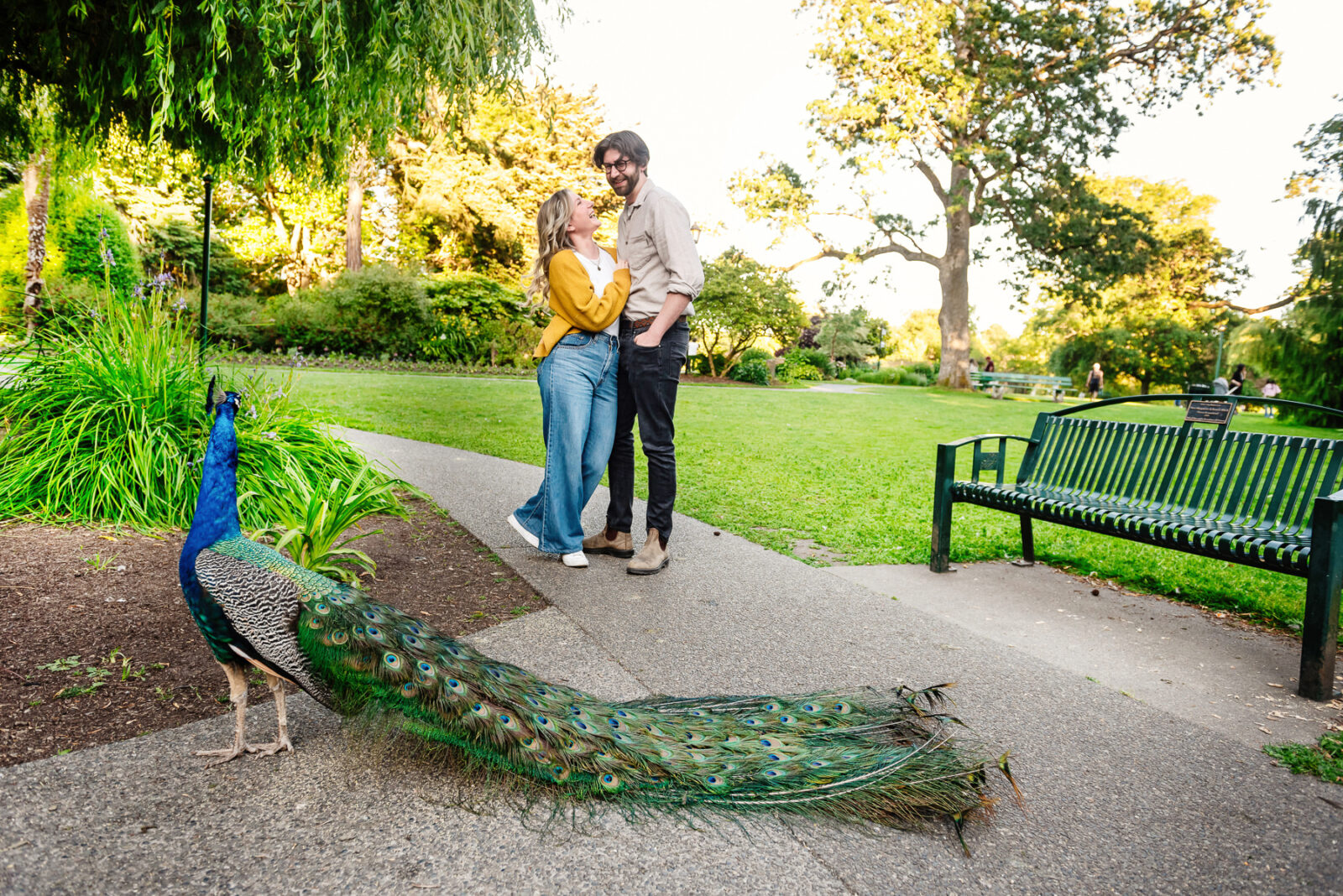 A couple looks at each other and laughs as a peacock walks by them in Beacon Hill Park