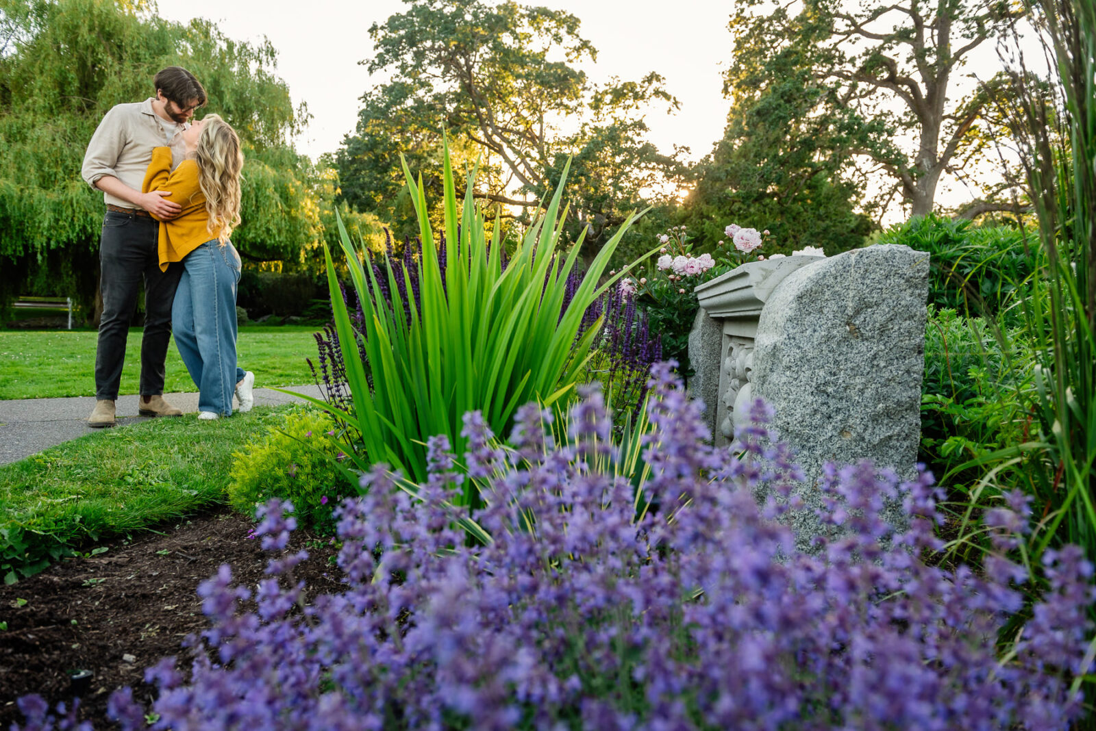 An engagement portrait in colour of a couple kissing in front of lavendar on a summer day at Beacon Hill Park in Victoria BC