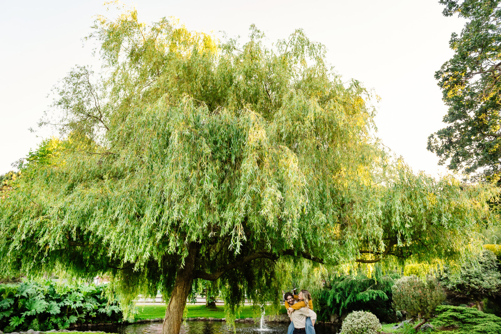 A wide angle portrait of a couple playing and laughing together under a willow tree at Beacon HIll Park at sunset in Victoria BC