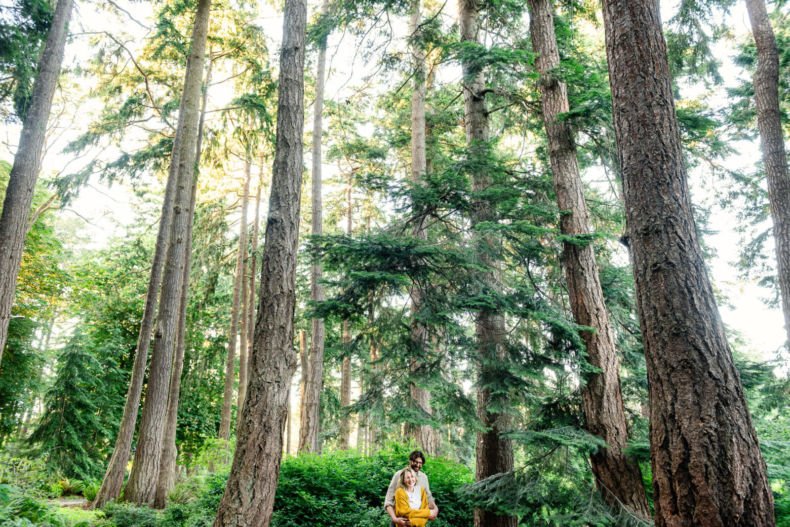A wide angle photo in colour of a couple snuggling surrounded by large evergreen trees in Victoria BC
