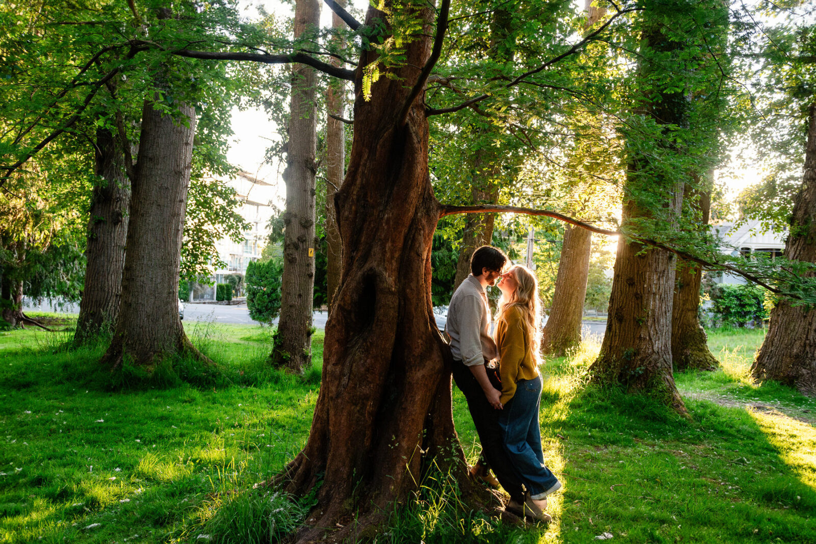 A sunset engagement portrait of a couple among the trees on the Douglas Street side of Beacon Hill Park in Victoria BC