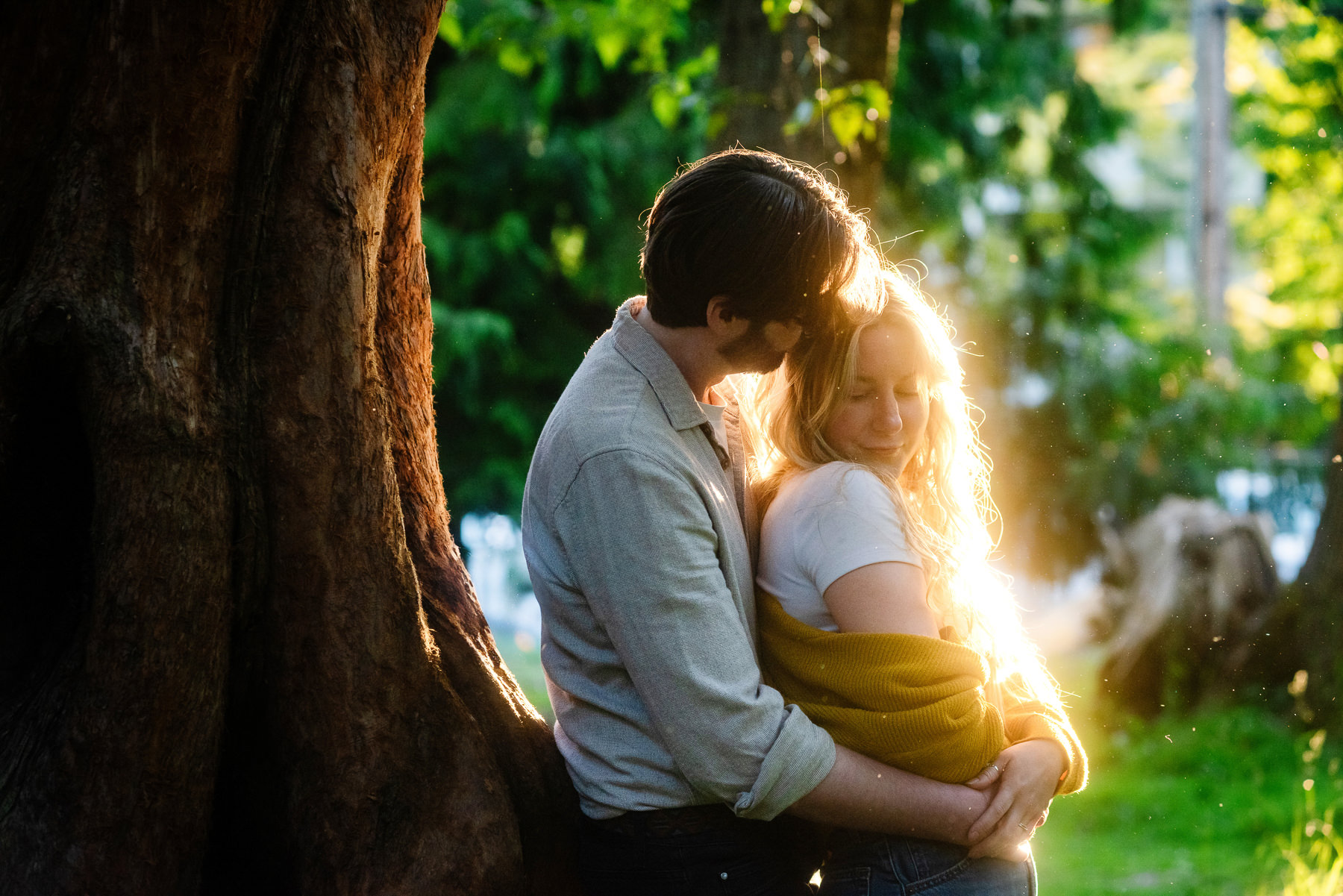A sunset engagement portrait of a couple among the trees on the Douglas Street side of Beacon Hill Park in Victoria BC