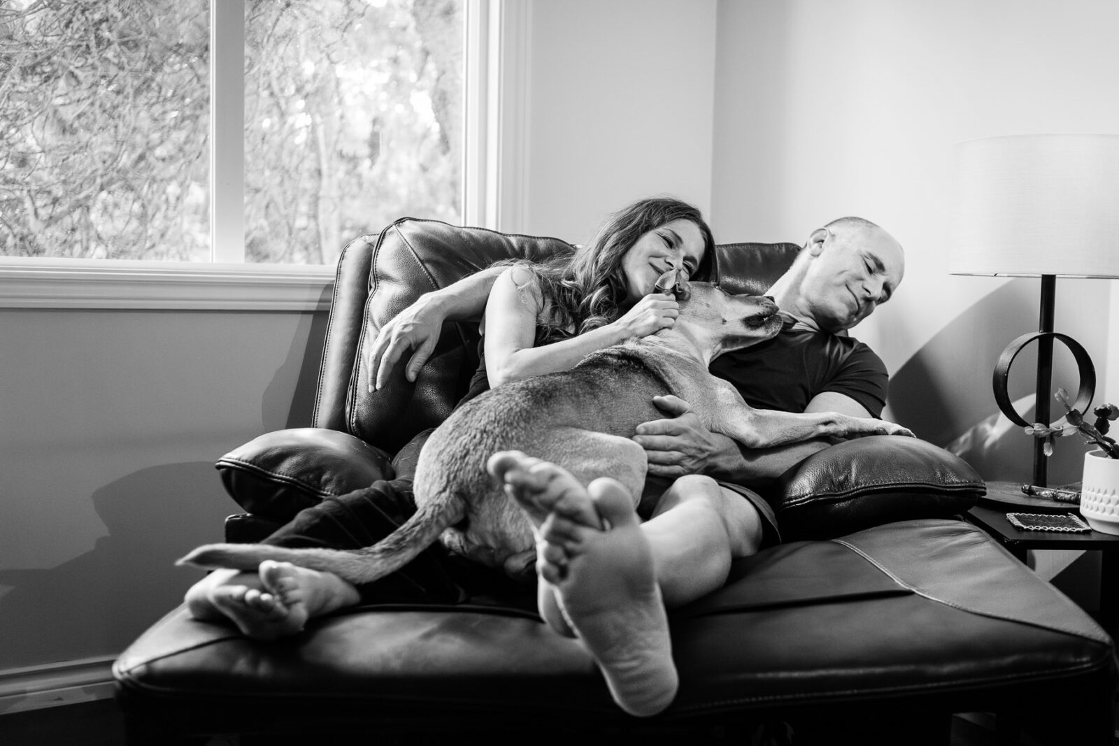 A dog licks his parents while they sit on an easy chair in their living room in Victoria BC