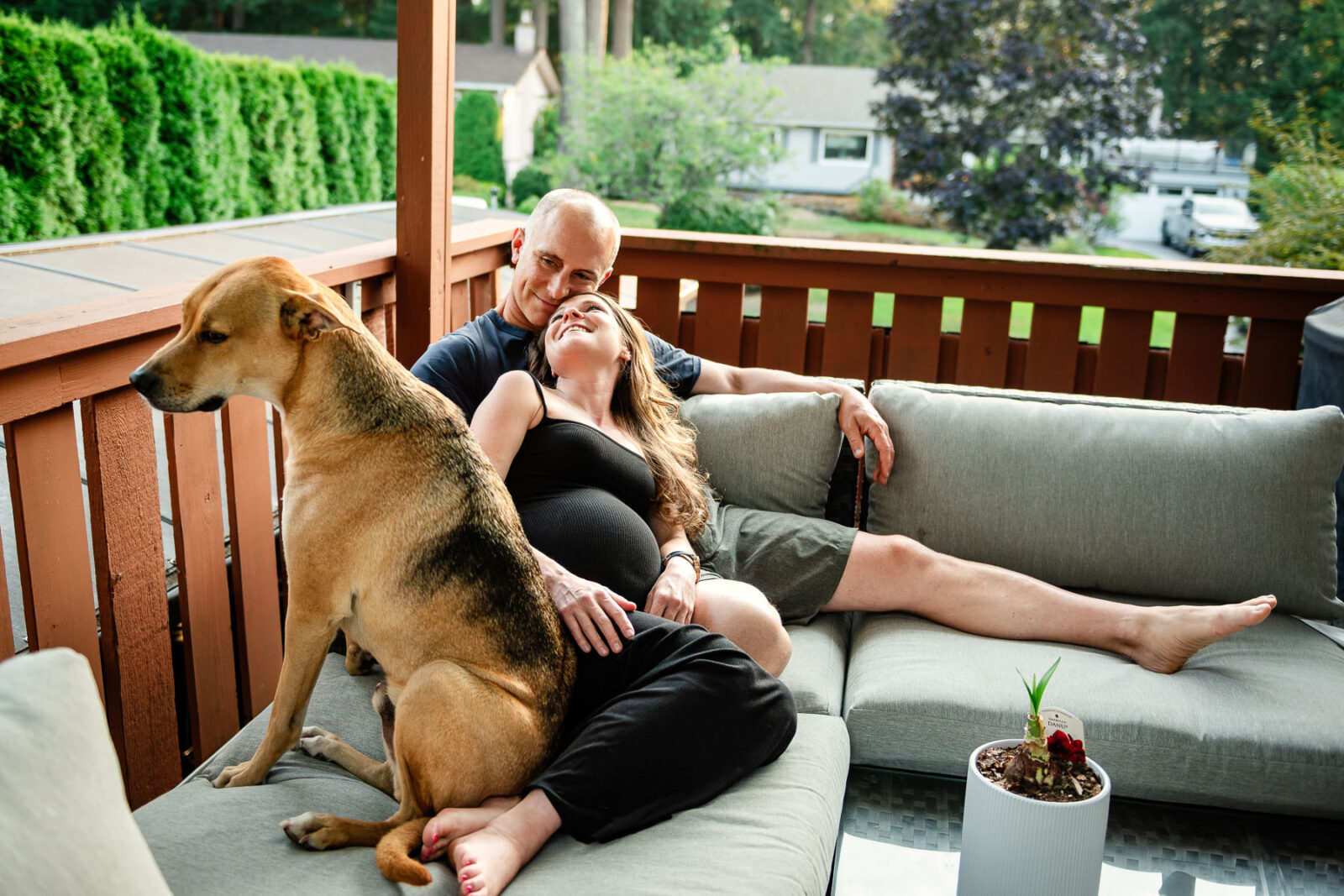 A natural and candid maternity portrait of a couple snuggling with their dog in the foreground. They are outside on their patio in Brentwood Bay.