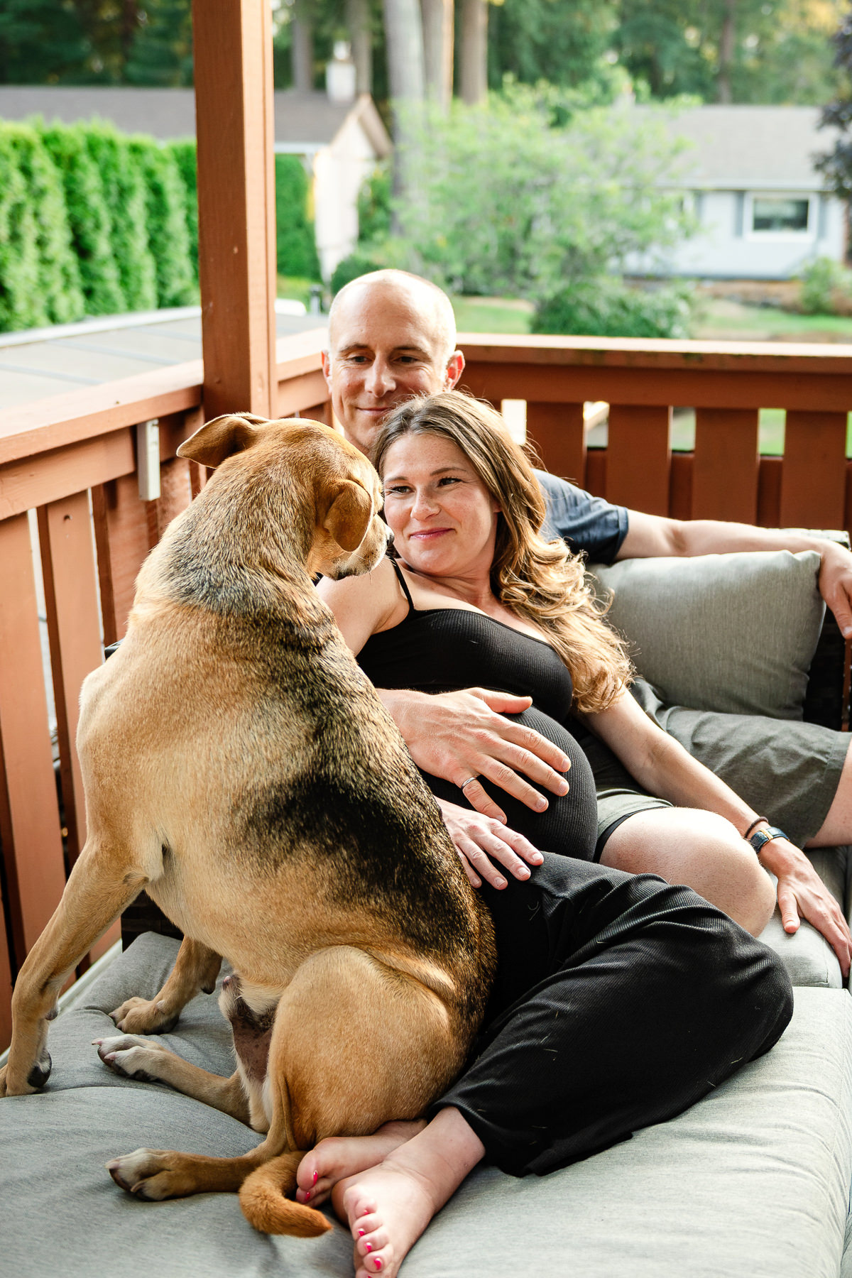 A natural and candid maternity portrait of a couple snuggling with their dog in the foreground. They are outside on their patio in Brentwood Bay. Mom and dog are looking at each other.