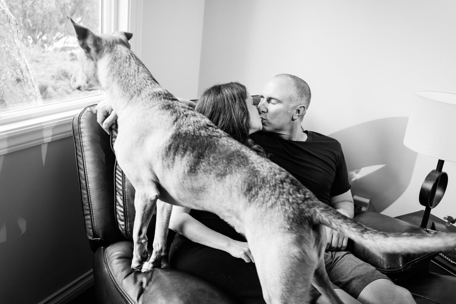 A dog looks out the window while his parents kiss on a chair.