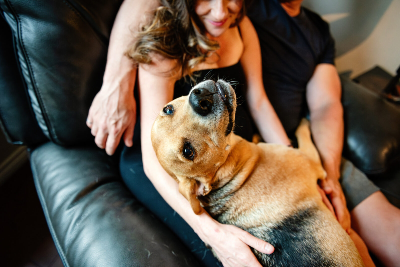 A cute photo of a dog looking at the camera while being held by his parents.