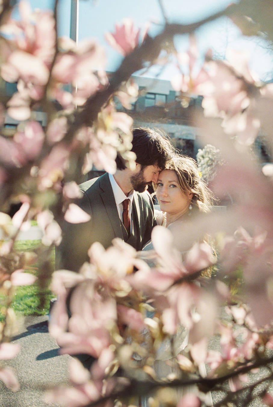 A couple snuggles behind a cherry blossom tree during a wedding photography editorial session at Uvic campus in Victoria BC