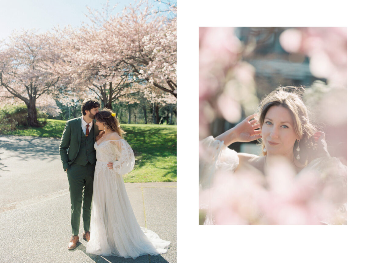 Wedding photographer captures bride and groom on film with cherry blossoms at the University of Victoria campus. On the left is an image of the bride and groom kissing while surrounded by blossoms and on the right is a closeup of the bride with bokeh of pink. 