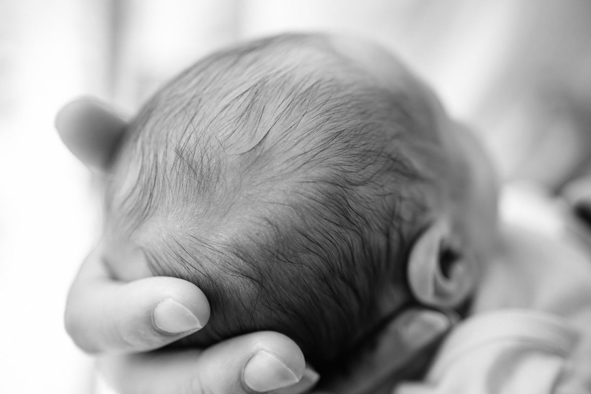 A detail photo of a newborn baby's hairline in black and white.